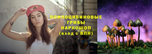 ГАЛЛЮЦИНОГЕННЫЕ ГРИБЫ Гусиноозёрск