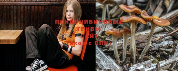 твердый Гусь-Хрустальный
