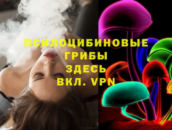 ГАЛЛЮЦИНОГЕННЫЕ ГРИБЫ Гусиноозёрск