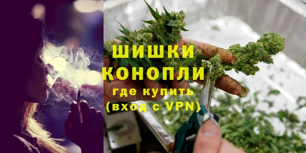 PSILOCYBIN Осташков