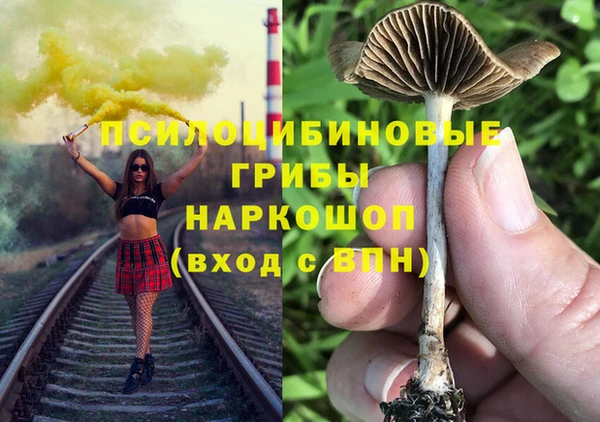 твердый Гусь-Хрустальный