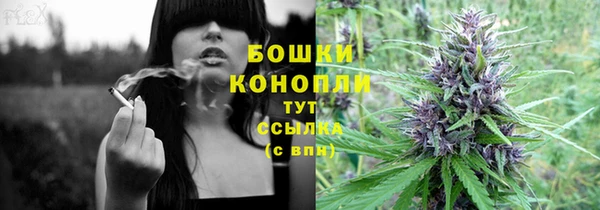 твердый Гусь-Хрустальный
