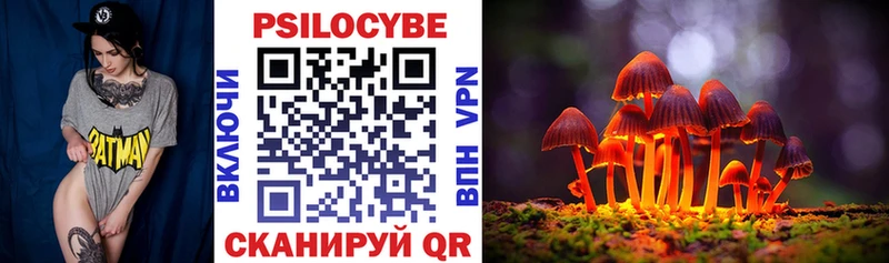 закладки Очёр Псилоцибиновые грибы Cubensis